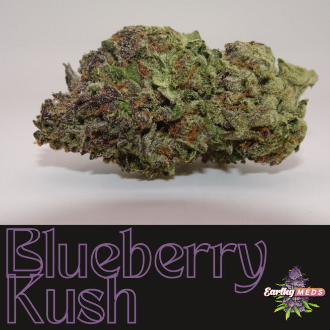 Blueberry Kush