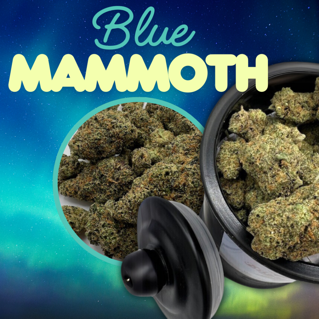 Earthy Meds Blue Mammoth THCa Strain