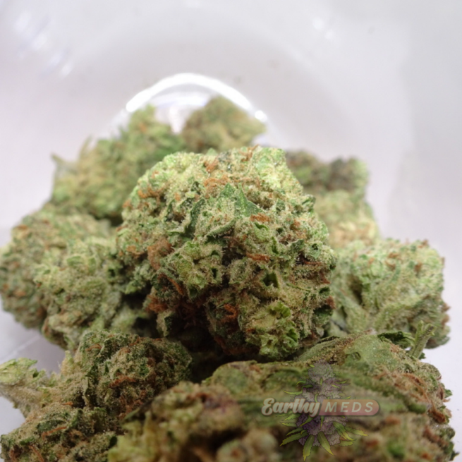 Original Glue - Image 2