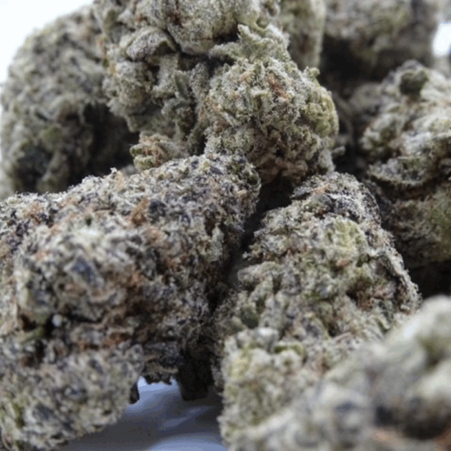 Blue Dream - Image 3